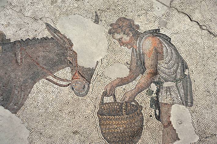 Great Palace Mosaics   onehundredand fifty  human animal figurines   ninety  different theme Blue Mosque opus vermiculatun